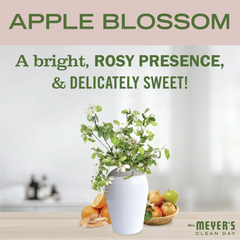 Apple Blossom Baking Soda Cream Cleaner