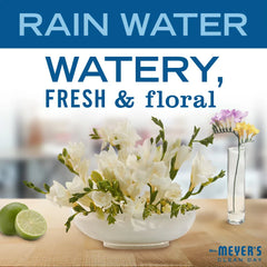 Rain Water Hand Lotion