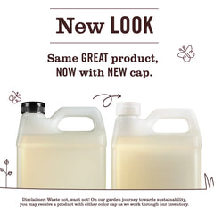 Compassion Flower Liquid Hand Soap Refill