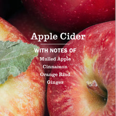 Apple Cider Room Freshener