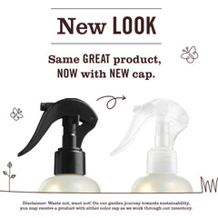Basil Room Freshener